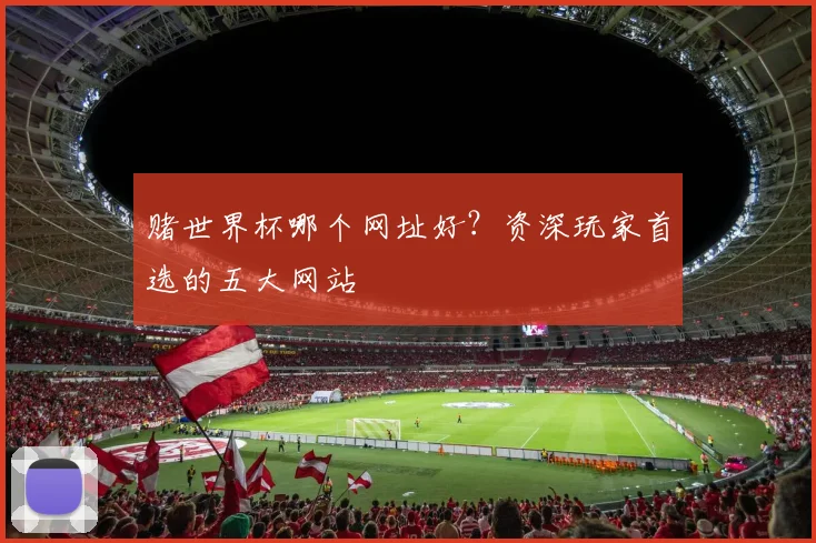 赌世界杯哪个网址好？资深玩家首选的五大网站