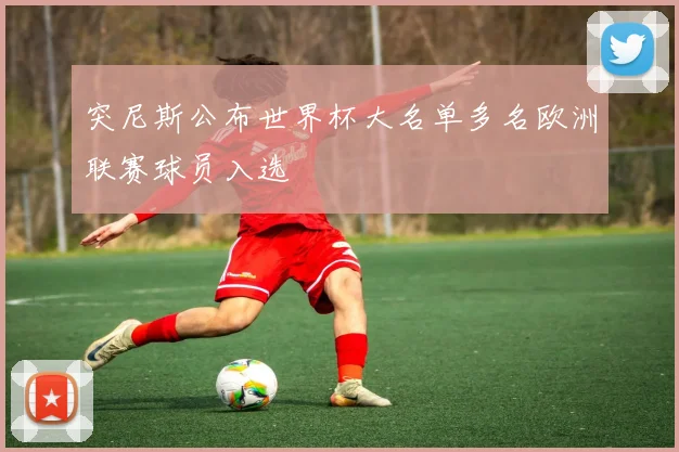 突尼斯公布世界杯大名单多名欧洲联赛球员入选