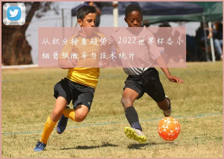 从积分榜看趋势：2022世界杯各小组晋级概率与技术统计