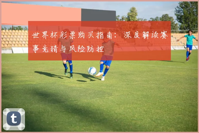 世界杯彩票购买指南：深度解读赛事竞猜与风险防控