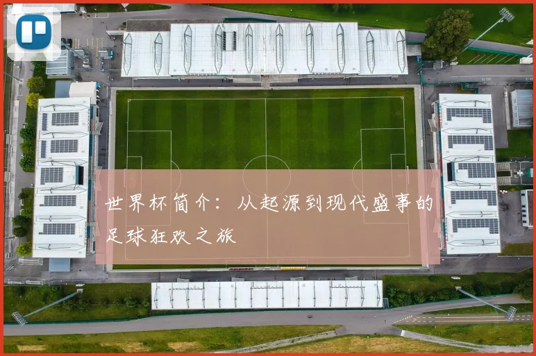 世界杯简介：从起源到现代盛事的足球狂欢之旅