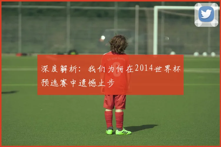 深度解析:我们为何在2014世界杯预选赛中遗憾止步