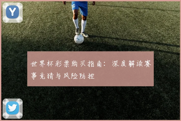 世界杯彩票购买指南：深度解读赛事竞猜与风险防控