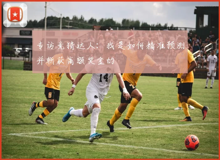 专访竞猜达人:我是如何精准预测并斩获高额奖金的