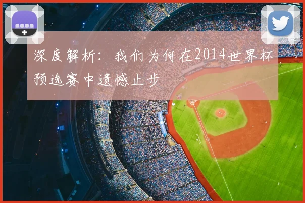 深度解析:我们为何在2014世界杯预选赛中遗憾止步