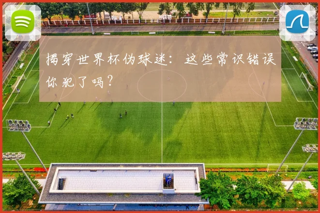 揭穿世界杯伪球迷:这些常识错误你犯了吗?