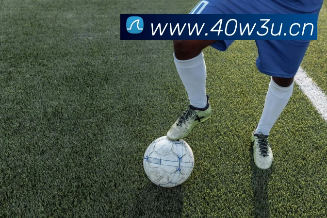 乐鱼首页APP 封面图